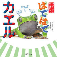 はではで　カエル