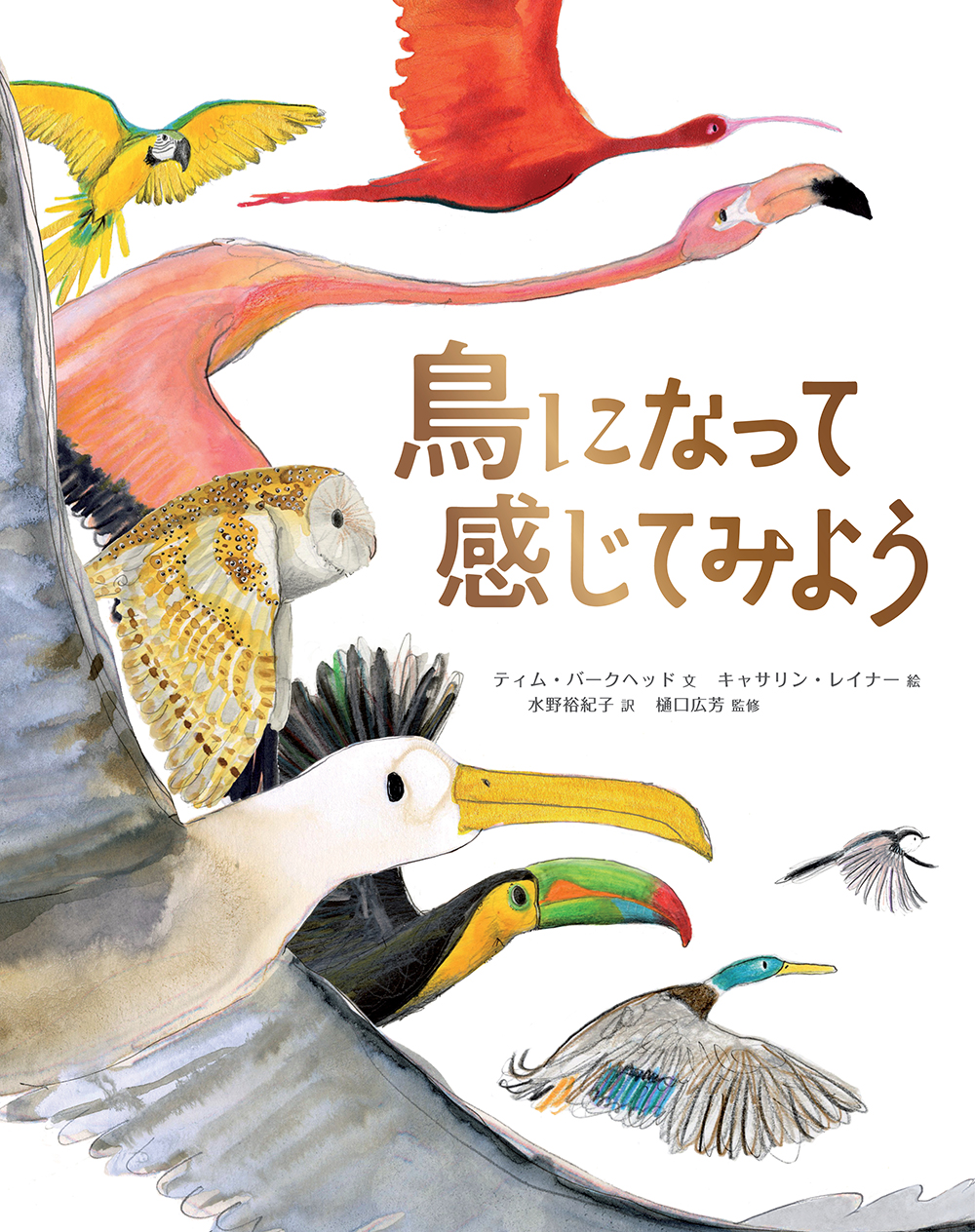 鳥になって感じてみよう